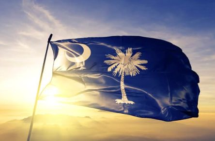 South Carolina flag waving with the sun behind it